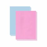 ESCAPER Color Your World Pack: 160 A4 Size Paper Sheets - 80 Aqua and 80 Rose - Ideal for Printing, Crafts, and More