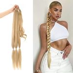 32" Long Braid Ponytail Hair extensions Wrap Around Ponytail Hair Pieces Drawstring Ponytail Clip In Braiding Pony Hairpiece for women girls (27/613, 32INCH/80cm)