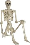 NICAI Kitchen Halloween Decorations Skeletons,Human Full Size Skull Hand Life Body Anatomy Model Decor Halloween Decorations Outdoor Figure Toy for Prank, Horror Themed Party