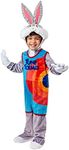 Rubie's Baby/Toddler Warner Bros. Space Jam Bugs Bunny Tune Squad Costume, Toddler