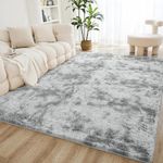 Rugs Living Room Super Fluffy Soft Touch Rug Thickened Washable Bottom Anti-Skid Large Area Rugs Indoor Modern Home Decor Floor Carper with 8 free anti slip stickers