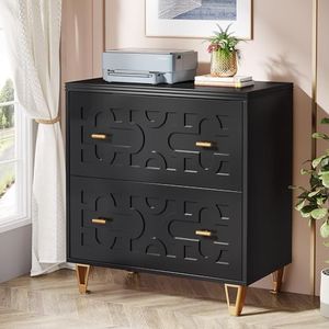 Tribesigns 2-Drawer Lateral File Cabinet, Modern Black Filing Cabinet for Legal/Letter/A4 Size, Large Storage Filing Cabinet Printer Stand for Home Office, Black and Gold