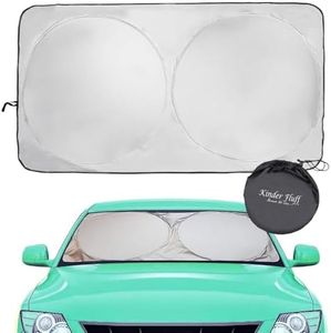 Windshield