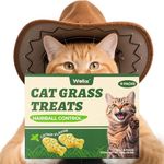 Wellix 450g/16oz Cat Grass Treats Healthy Kitten Snacks Natural Salmon Flavor Dental Cleaning and Hairball Control Catnip Training Biscuits for Indoor Cats