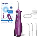 Waterpik Flossers