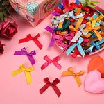 100 pcs Mini Ribbon Bows, Double Sided Satin Multicolored Ribbon Bows Flowers Appliques DIY Craft for Sewing, Scrapbooking, Wedding, Gift