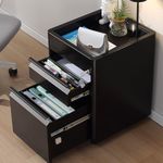 GOOGIC 2 Drawer Mobile File Cabinet