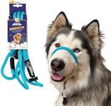 Heather's Heroes Sidekick Dog Headcollar with Leash - Sidekick Leash for Dogs, Effective Dog Training Tool for Leash Reactivity and Behavior Issues (Regular (3/8"), Turquoise)