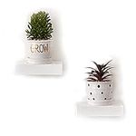 INMAN Small Oak Floating Shelves 2PC Wooden Mini Wall Mounted Shelf for Decor Plant, Little White Display Shelf for Living Room Bedroom Bathroom