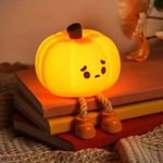 Dylviw Pumpkin Night Light, Cute LE