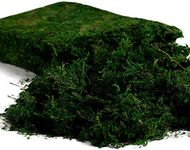 Farmoo Artificial Moss for Plant, Fairy Garden Lawn Crafts Wedding Decor (Fresh Green Moss)