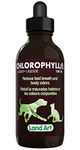 Liquid Chlorophyll For Dogs