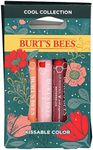 BURTS BEES Cool Kissable Color Gift Set, 1 EA