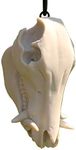 SKULLZ Rearview Mirror Hanger, Boar