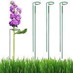 ecofynd 30 inches Metal Plant Stakes, Single Stem Flower Plant Support, Garden Plant Trellis for Outdoor Amaryllis Orchid Lily Rose Tomatoes (Green, Pack of 3)