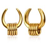 Earblity 1 Pair saddle Gauges with 10pcs rings Ear Tunnels Plugs 316 Stainless Steel Ear Gauges Weight Saddle Plugs Hypoallergenic expander Piercing Body Jewelry, 00G(10mm), Metal, no gemstone