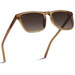 WearMe Pro - Polarized Lens Square Modern Sunglasses for Men, Brown Frame/Brown Lens, One Size