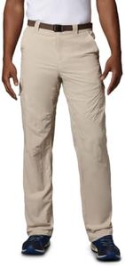 Columbia Mens Silver Ridge Cargo Pant, Fossil, 36