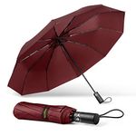 TechRise Umbrella for Rain Windproof, 45 Inches Large Canopy Folding Light and Auto Open-Close with 10 Fiberglass Ribs Compact Collapsible Umbrella for Men & Women Outdoor