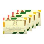 Khadi Natural Mix Fruit Soap - Great Scent | Mild Glycerine | Refreshing Astringent | Superior Conditioning | 125g (Pack of 4)