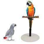 Salmue Standing Adjustable Height Parrot Training Perch,Bird Stand Tabletop, Portable Detachable Parrot Play Stand, for Indoor Outdoor Traveling