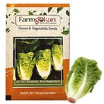 Farmgokart | 10 Gms of LETTUCE ROMAINE SEEDS |Approx 10000 seeds per packet| High Germination Quality Vegetable and Herbs Seeds Pouch | for Home Gardening, Farming and Planting