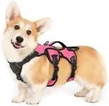 rabbitgoo Escape Proof Dog Harness,