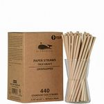 Blowholes Standard Size Eco-Friendly, Compostable, Long-lasting Paper Straws 440 Count - Kraft