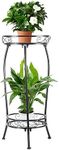 Plant Stand Indoor Outdoor 2 Tier 2