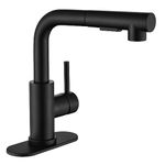 APPASO Black Bar Sink Faucet, Kitchen Faucet with Pull-Out Sprayer,Pull Down Spray Small Faucet for RV Camper Outdoor Restroom