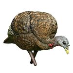 Avian X AVX8007 Hunting Decoys Turkey, Multicolor, one Size