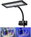 Hygger LED Aquarium Lights Clip on Fish Tank Lighting Led Lamp for Fish Tank Blue & White (30 LEDs 13 watt)