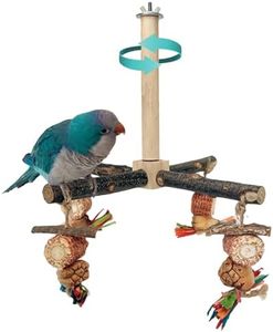 ROOJUNE 360° Rotating Bird Perch with Natural Chew Toys - Bird Toys Cage Accessories- Parrot Wooden Stand for Small and Medium Birds (Parakeets, Budgies, Cockatiels, Conures, Finches)