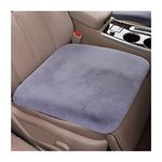 Custom Accessories Auto Seat Cushions