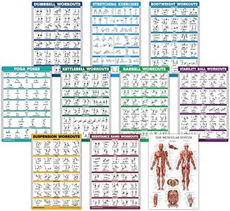 10 Pack - Exercise Workout Poster Set - Dumbbell, Suspension, Kettlebell, Resistance Bands, Stretching, Bodyweight, Barbell, Yoga Poses, Exercise Ball, Muscular System Chart (LAMINATED, 18" x 27")