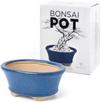 Glazed Ceramic Bonsai Pot - Decorative Planter for Dwarf Trees, Succulents, Small Plants - Blue Oval Container Perfect for Indoor and Outdoor Gardens, Table Centerpieces and Windowsill Décor