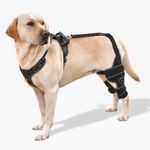 FurWell Dog Knee Brace with Adjusta
