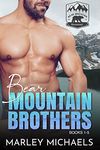 Bear Mountain Brothers: Series Boxed Set Books 1 - 5 (Bear Mountain Boxsets)