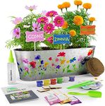 Paint & Plant Flower Growing Kit fo