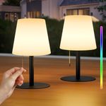 FUYO Pack of 2 Outdoor Table Lamp with 8 Colours Dimmable Wireless Table Lamp Portable Colour Changing Night Light Lamp for Outdoor Garden Bedroom Camping Easter Decoration