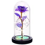 Light Up Rose Flower Gifts for Women, Glass Rose Gifts for Mom, Girlfriend, Wife, Friend, Lover, Wedding, Transparent Light Up Rose in A Glass Dome for Home Decor (Purple)