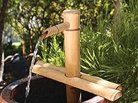 Bamboo Accents Water Fountain with 