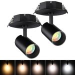 LEONLITE 2-Pack 5 Color Dimmable Ceiling Spotlight LED with Included Junction Box, CRI90 Adjustable Spotlight Directional LED Spot Lights IP65 Outdoor Indoor, 110V-277V, Black Aluminum Housing