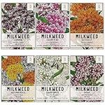 Seed Needs, Milkweed Seed Packet Collection to Attract Monarch Butterflies (6 Individual Seed Varieties to Plant) Heirloom & Untreated Seeds