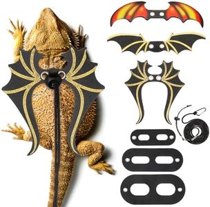 Wesnoy Bearded Dragon Leash and Harness Set 3 Size Cool Leather Bearded Dragon Harness Adjustable Bearded Dragon Leash 3 Pcs Bearded Dragon Wings for Reptile Safety Walking Halloween Accessories