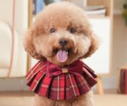 Lovelyshop pet Serial Lux Red Cheeck Cotton Blend Pet Collar with Red Big Bowtie for Chirstmas Festive Holiday Pet Costume-Small Size