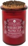 Northern Lights Holiday Spirit Jar Scented Candles 5 oz (Cranberry Mimosa)