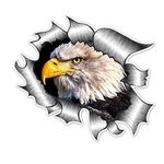 Eagles Decal American Flag Eagle Decal Logo Sticker Fits Car Hood Decal Bonnet Side Univeral Birds Hawk Eagle Stickers Window Decals For Vehicles Emblem Badge Auto Styling Car Graphics (15x14cm Eagle)