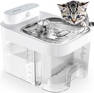 HAPAW Cat 
