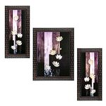 Indianara Set of 3 Poppy White Flowers Framed Art Painting (1110GB) without glass 6 X 13, 10.2 X 13, 6 X 13 INCH